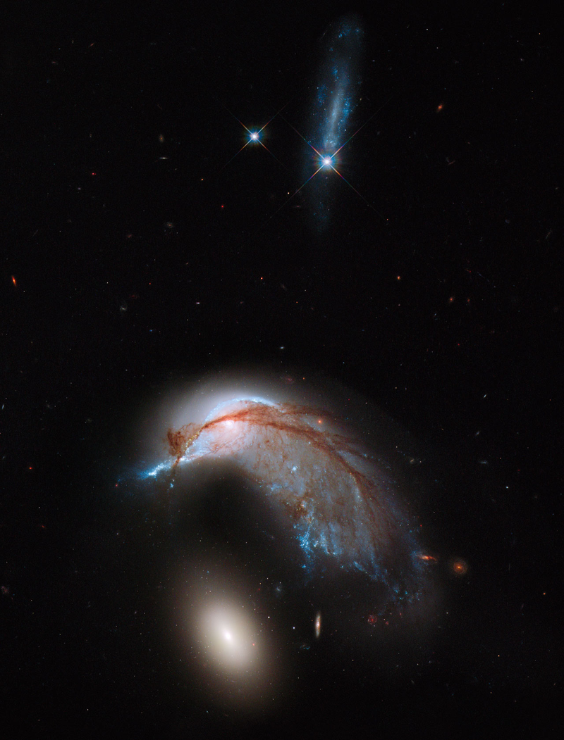 Illustration for article titled Colliding galaxies take on the shape of a penguin guarding its egg
